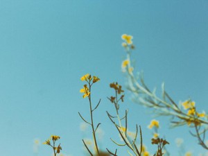 重い荷物が消え、羽が生えた。彼氏から卒業したら、人生最高です