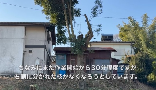 たったの30分で、ほぼ半分の作業が終了／CAT HOUSE DIYさん（@cathousediy）提供

