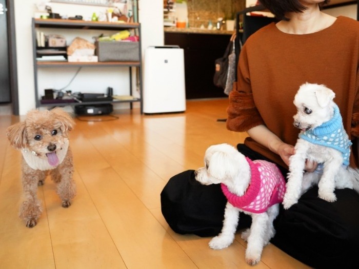 「遊ばない？」「いいよ」友だちも増えて（友永翔大撮影）