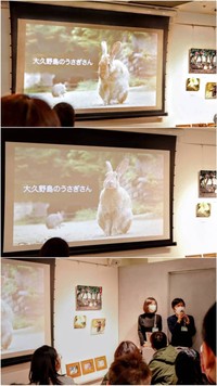 私のうさぎ展での様子　うさぎについてはもちろん、撮影についての質問にもこたえてくれました。