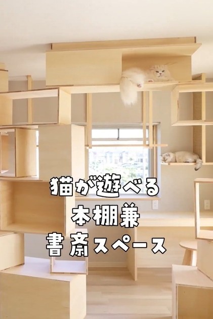 猫が遊べる本棚兼書斎スペース（「ねこ大家」さん提供、Xよりキャプチャ撮影）
