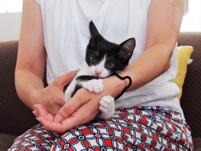 敦子ママに甘えるコリン