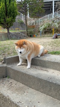 なぜかお外でもめり込み（提供：波さん）