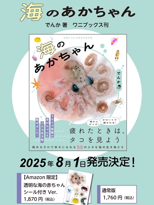 「海のあかちゃん」（ワニブックス刊、税込1,870円）の表紙を飾るのは「マメダコ」の赤ちゃん（画像提供：でんかさん）