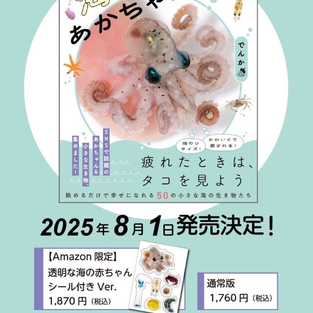 「海のあかちゃん」（ワニブックス刊、税込1,870円）の表紙を飾るのは「マメダコ」の赤ちゃん（画像提供：でんかさん）