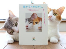 猫も人も幸せに　猫好きさんに知ってほしいことを詰め込んだ１冊