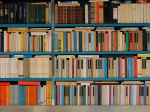 恋じゃないけど特別だった彼。次会うときも本の話をしたい