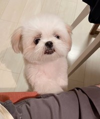 そんな、ショック受けんでも･･･