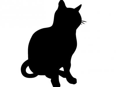 「庭にフン」で立腹、猫を毒エサで殺した疑い　男を書類送検