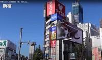 新宿ビルの3D巨大三毛猫。昨年9月に撮影（「みかんとじろうさんち」さん提供、YouTubeよりキャプチャ撮影）