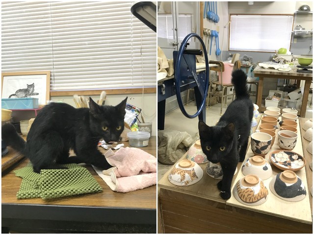 工房にやってきた幼いころのマキ（イマハヤシさん提供）