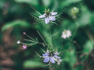 彼に愛されるために痩せ続けた。今度は、私が私の身体を愛すのだ