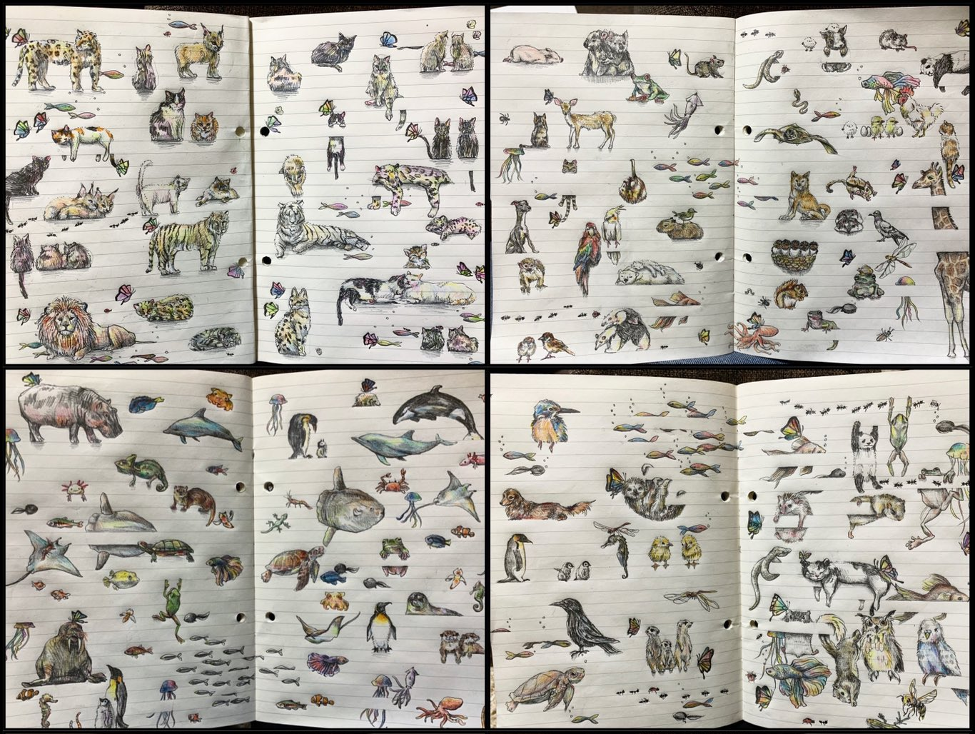 （晴夏さん提供）