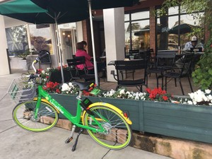 通勤の新定番、電動シェアリングスクーターが大人気