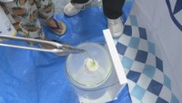 夏休みの8月8日・9日　科学実験を楽しもう　高松市