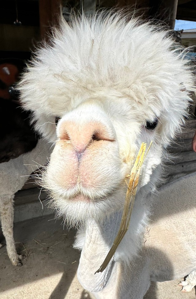 I、いや1かもしれない