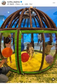 小島瑠璃子（@ruriko_kojima）さんのインスタグラムより