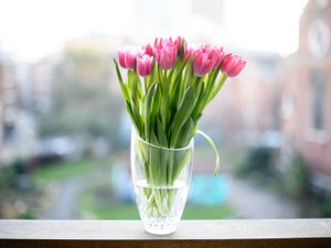 友人の「おれゲイなんだ」に、私は「正解」の返しができていたのか？