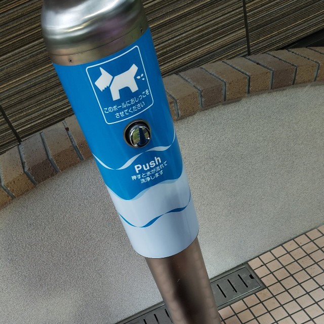 オッキーさんの飼う犬は用が足せなかったそう（オッキーさん提供）
