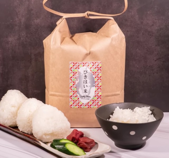 アルピナさんがつくった米／YouTube「【土鍋とも比較！】炊飯器1万円～10万円、価格で本当にご飯の味は変わるのか！？」より