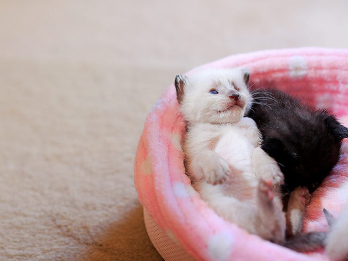 この頃、再会できるなんて夢にも思っていなかったよ（2017年6月 筆者撮影）。