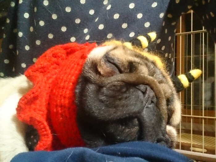 節分の時期に友人が作ってくれた鬼のかぶりものを（みのりさん提供）