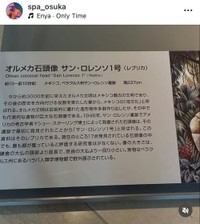 セルライトスパ大須賀インスタグラム（＠spa_osuka）より