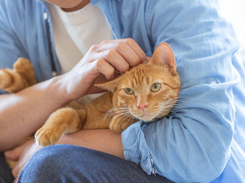 龍さんに捕まる