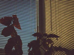 週末は君の家で恋人ごっこ。君にとって私が何でもないことは知っていた