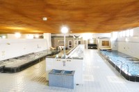 天然温泉と白湯が楽しめる浴室。水風呂、スチームサウナ、乾式サウナも完備。パンダ銭湯とのコラボ時期のみ、こちらの浴室にも変化が！？（提供：湯処 あべの橋）