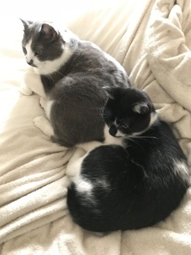 大きさも似てきた？！ 