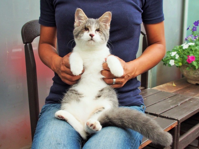 ママのお膝で風に吹かれるふっくん