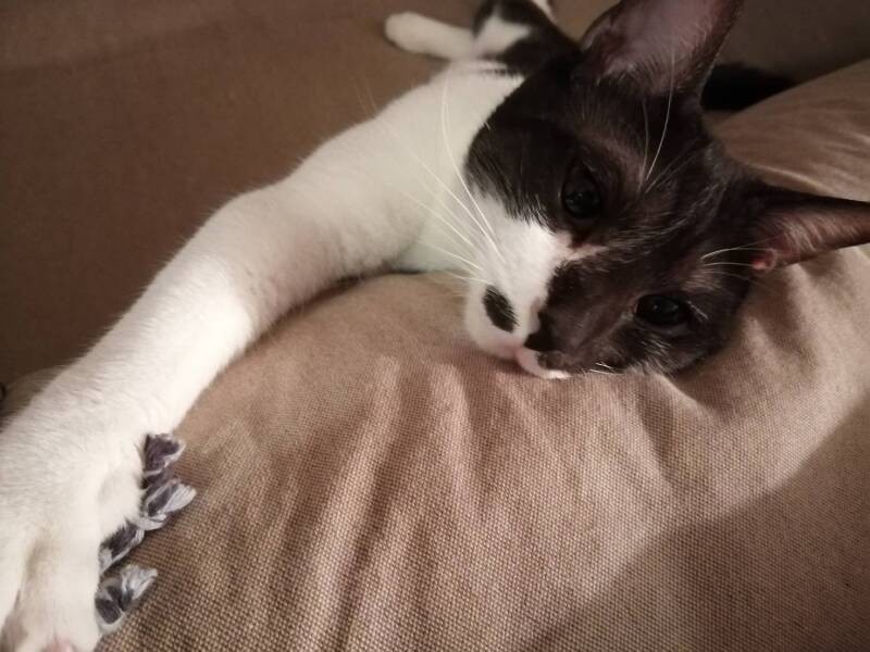 「仕事はよ終えて、遊ぼうよ」（愛子さん提供）