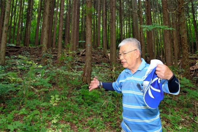 Mythical or mysterious -- search for Bigfoot alive among Montana