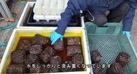 菌床の様子を毎日チェック／投稿主さん提供