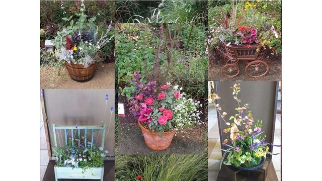 秋色を楽しむコンテナガーデン展　さぬきフラワーガーデンで28日まで　高松市
