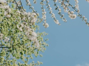 喜怒哀楽全てがフル稼働する就活は、感情の繁忙期みたいだ