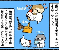 幼稚園で飼育していたニワトリ（ゆうさん提供）