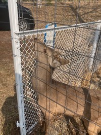 体調も問題なしということ（能勢温泉提供）