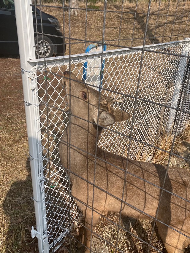 体調も問題なしということ（能勢温泉提供）