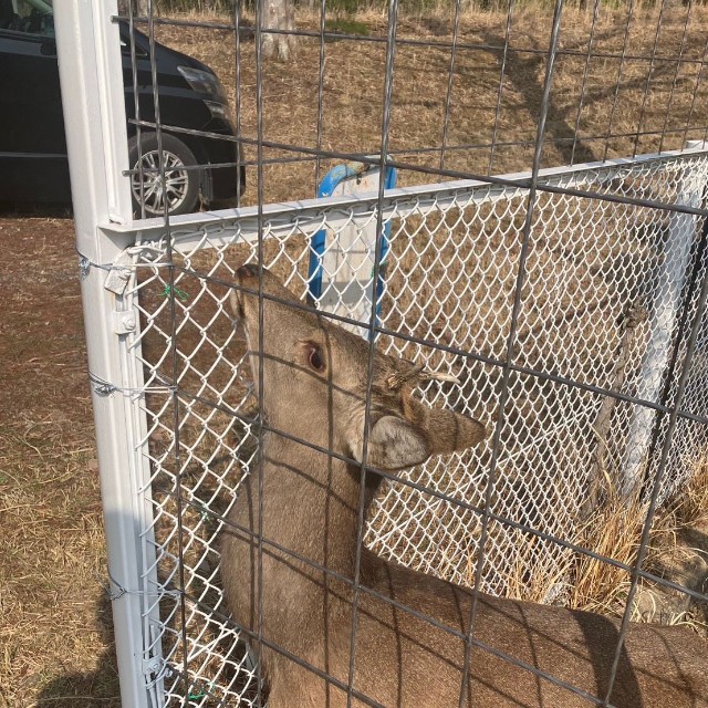 体調も問題なしということ（能勢温泉提供）