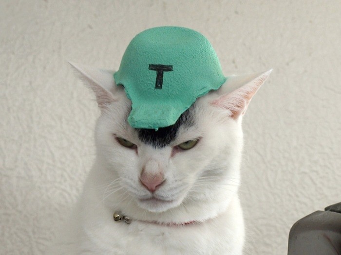 タイガースファンなんだ（提供写真）