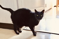 最年長ぴっぴ婆さん・御年20歳（画像提供：三協精器）