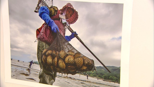 海をテーマにした写真コンテスト　日本各地の雄大な自然や人との関わりも　高松市