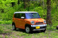 ハスラー／スズキ（tenjou /stock.adobe.com）