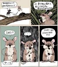 教えてもらったことをよく忘れてしまう赤毛のネズミ　（胡桃さんの提供）