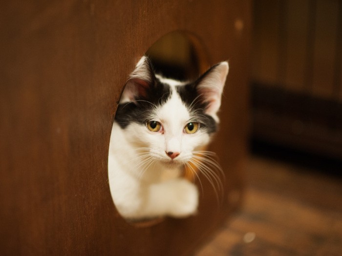 「ギターを抱えて旅に出るんだ」（小林写函撮影）