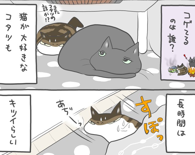 猫にとってこたつはサウナ？（まーこさん提供）