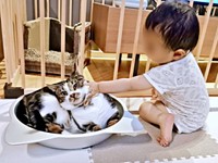 赤ちゃんに触れられてフリーズするしじみさん（画像提供：すずきさん）