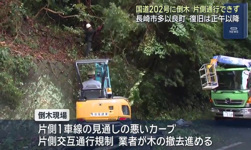 長崎市多以良町の国道202号に倒木 片側通行できず 復旧は正午以降